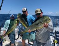 IMG 0111.jpegfishing