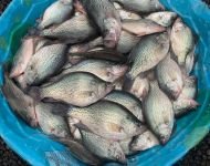 57334563826  83B12510-8524-4C6E-A74A-7126C6A128FA