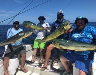 IMG 0989.jpegfishing